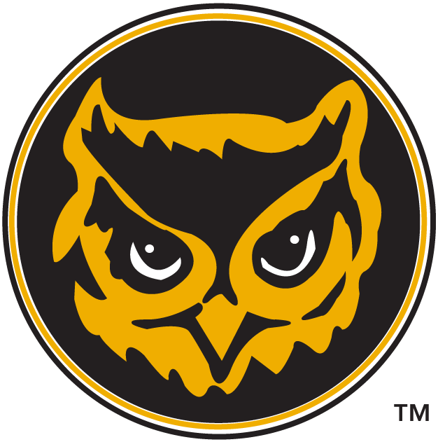 Kennesaw State Owls 1992-2011 Alternate Logo diy fabric transfer